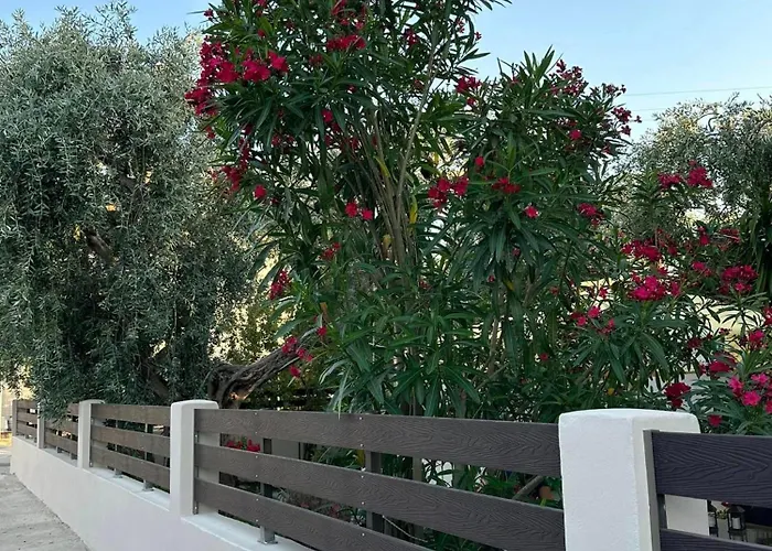 Valia House Thassos Apartament Skála Kallirákhis